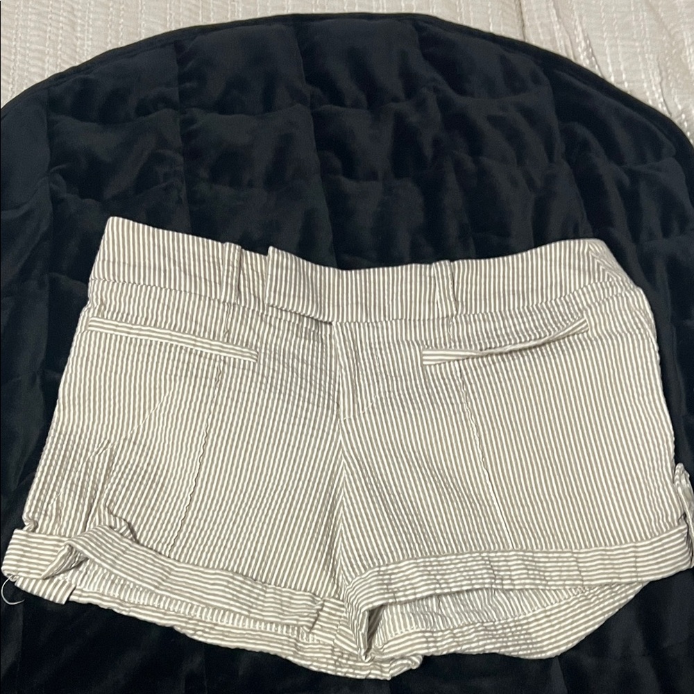 Bebe Striped Seersucker Cream Women's Shorts